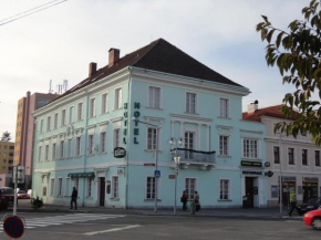 Гостиница Hotel U Hroznu  Мнихово Градиште